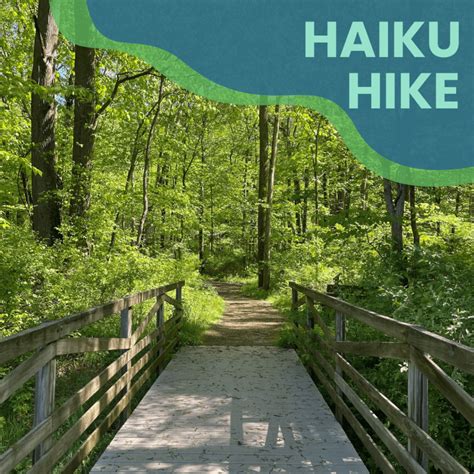 haiku poem – The Wilderness Center