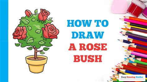 Draw A Rose Flower Pot Best Flower Site