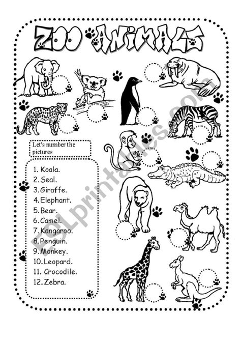 Zoo Animals Esl Worksheet By Glamorous Worksheets Library