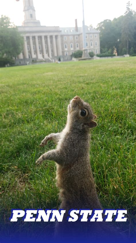 New Mascot? : r/PennStateUniversity