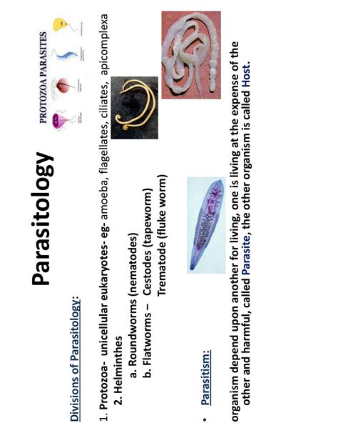 SOLUTION Parasitology Amoeba Plasmodium Studypool