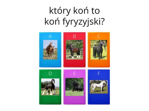 O Koniach Quiz