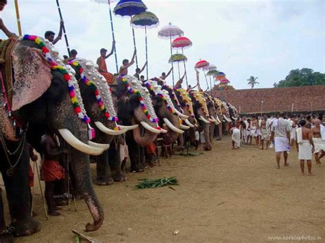 irinjalakuda-temple-thrissur-kerala - Kerala Photos - Kerala