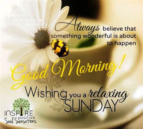 Good Morning Wishes On Sunday Pictures Images Page 5