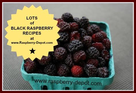 Black Raspberry Recipes - Ideas for Black /Wild /Black Cap Raspberries