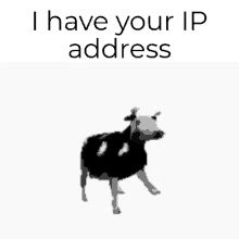 I Have Ur Ip Address Funny GIF - I Have Ur Ip Address Funny - Discover ...