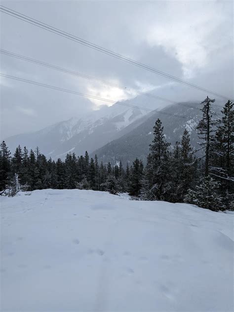 New to Whistler? Explore 5 breathtaking hiking trails!