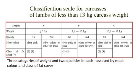 Sheep Carcass Classification Ppt Download