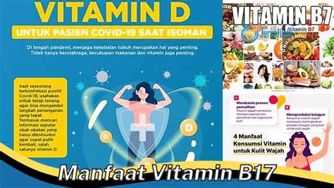 Temukan Manfaat Vitamin B17 Yang Jarang Diketahui