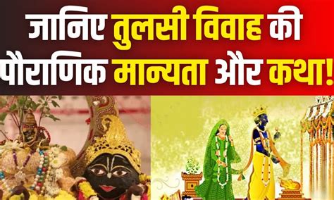 Tulsi Vivah 2023 इस विधि से करें शालिग्राम और तुलसी का विवाह जानें