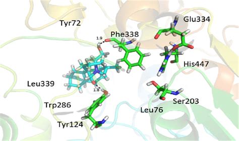 Binding Mode Of Compound With The Cas Active Residues Of Ache