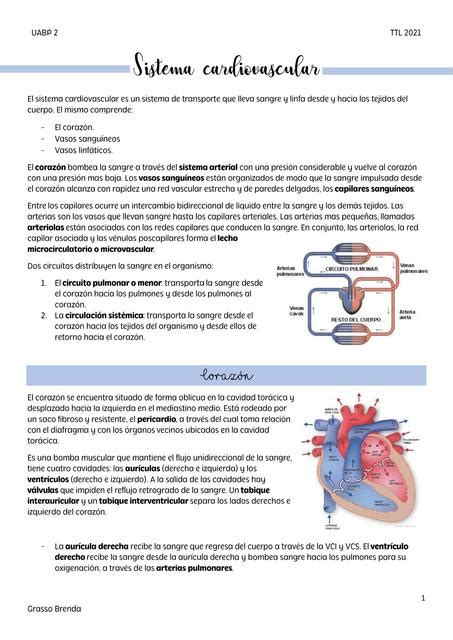 Histolog A Udocz