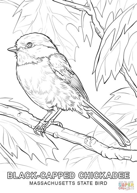 State Bird Coloring Pages At Free Printable