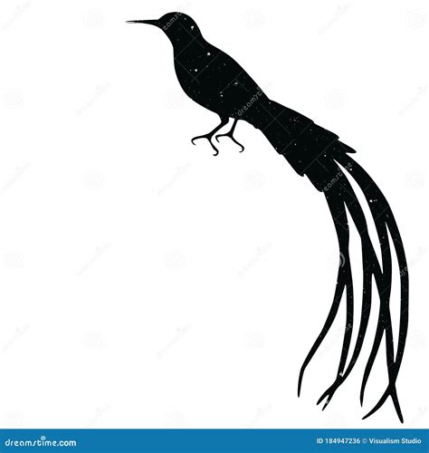 Bird Shadow Animal Icon Silhouettes Isolated on Dark Black Graphical in ...