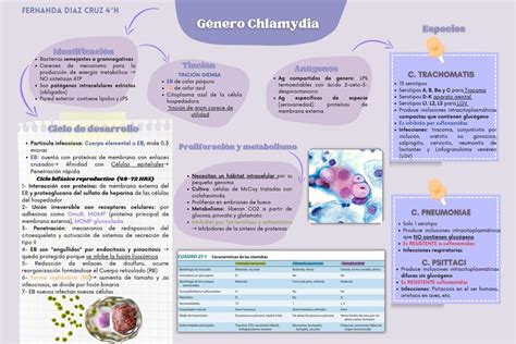 Chlamydia Fernanda Diaz Udocz