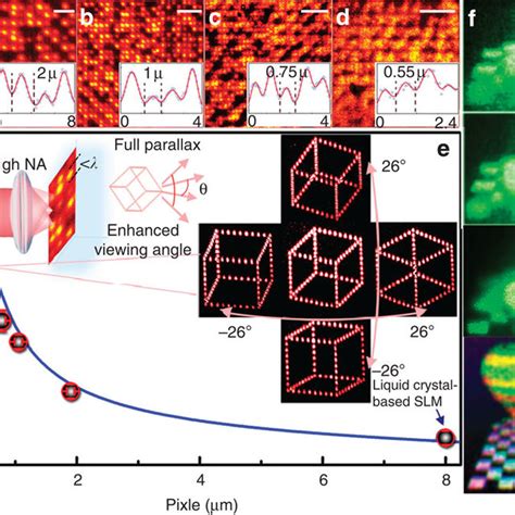 Vectorial Holographic Reconstruction Of Polarization Discernible