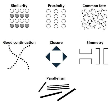 An Illustration Of The Classical Grouping Principles Proposed By The Download Scientific