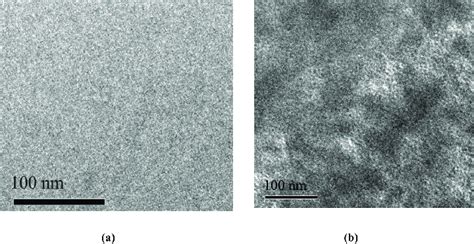 TEM images of (a) PMMA microspheres and (b) PANIcoated PMMA ...