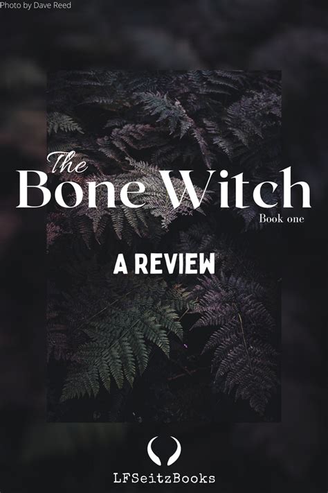 The Bone Witch A Review