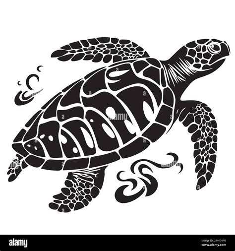 Graphic Sea Turtle Vector Illustration Of Sea Turtle Stock Vector Image