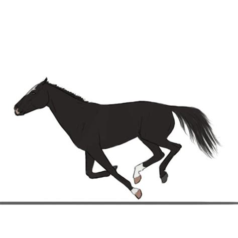 Galloping Animation By Banggoesreality On Deviantart