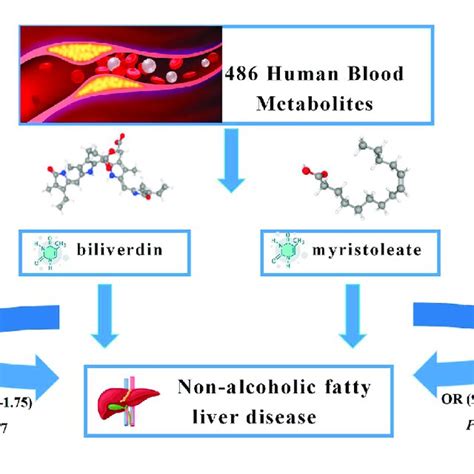 Signifcant Metabolic Pathways Involved In The Pathogenesis Of NAFLD