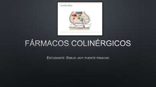 Fármacos colinérgicos PPT