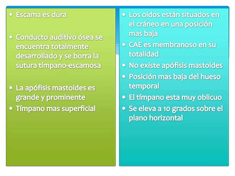 Diferencias Anat Micas Del Ni O Y Del Adulto Ppt