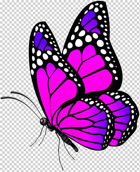 Black and purple butterfly illustration, Monarch butterfly, Butterfly Pink, purple, blue, brush ...