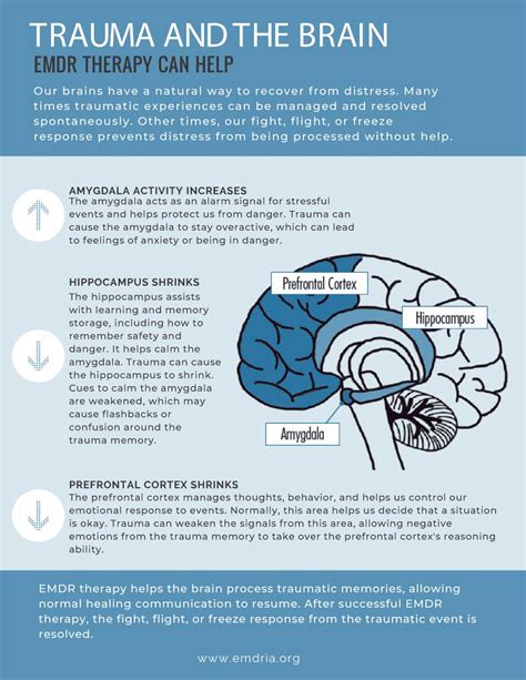 What Are The Phases Of Emdr