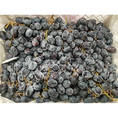 Jual Buah Anggur Hitam Autumn Royal 250gr Shopee Indonesia