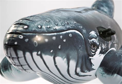 Buy Intex Realistic Whale Ride On At Mighty Ape Nz