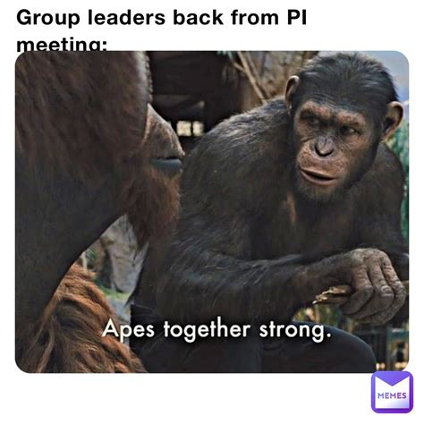 Group Leaders Back From Pi Meeting Amit Sharma Memes