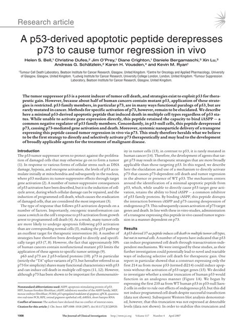 Pdf A P53 Derived Apoptotic Peptide Derepresses P73 To Cause Tumor