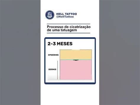Quanto Tempo Cicatriza Uma Tatuagem - Quanto tempo demora para cicatrizar uma tatuagem? | Remoção de Tatuagem ...