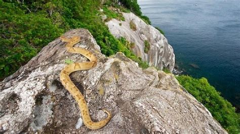 Ilha em SP está entre lugares do mundo que você nunca poderá conhecer