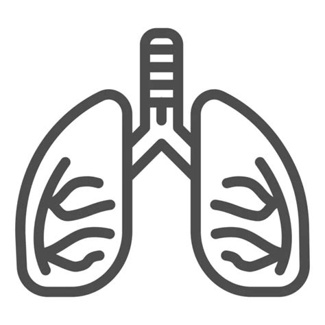 Lungs Line Icon Human Internal Organ Outline Style Pictogram On White