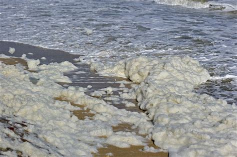 Sea Foam Photo12 ImageBROKER Alimdi Arterra Philippe Clement