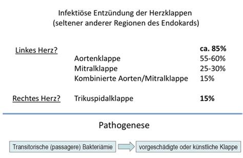 MiBi VL Systemische Infektionen Flashcards Quizlet