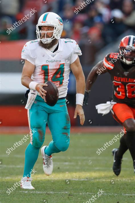 Miami Dolphins Quarterback Ryan Fitzpatrick 14 Editorial Stock Photo ...