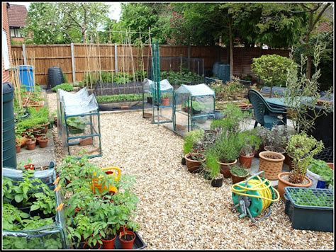 Mark S Veg Plot Mark S Veg Plot In May