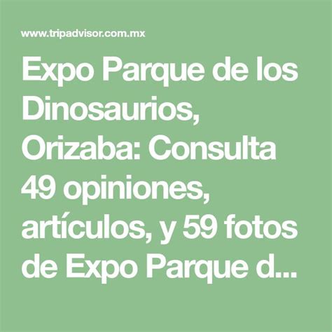 Expo Parque De Los Dinosaurios Orizaba Consulta Opiniones