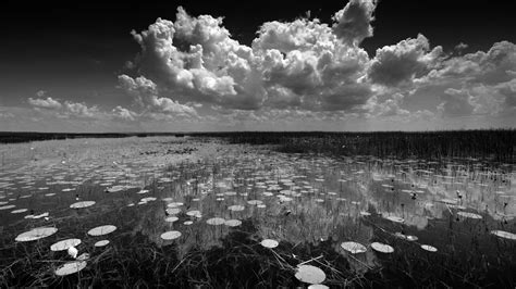 As Fant Sticas Paisagens Em Preto E Branco De Clyde Butcher Resumo