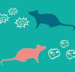 Sex And Gender Research And Methods CIHR