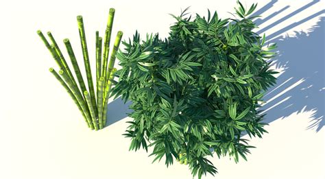 Bamboo 3d Model Turbosquid 1717308