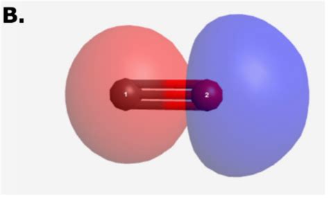 Solved Identify Each Image as Either an S or P Molecular | Chegg.com