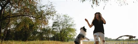 Benefits Of Exercising Your Dog Firstvet