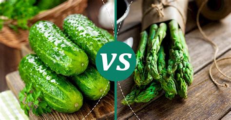 Asparagus Vs Cucumber Nutrition And Calories Compare