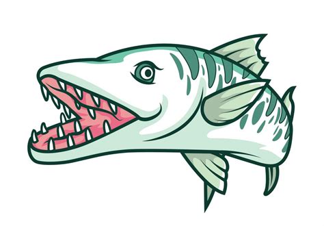 Barracuda Drawing | Free download on ClipArtMag