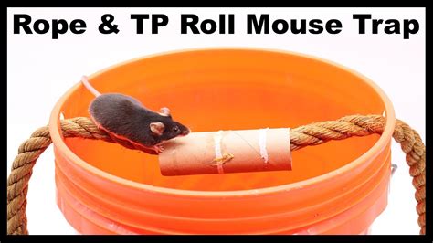 The Rope And Tp Roll Bucket Mouse Trap As Seen On Reddit Mousetrap